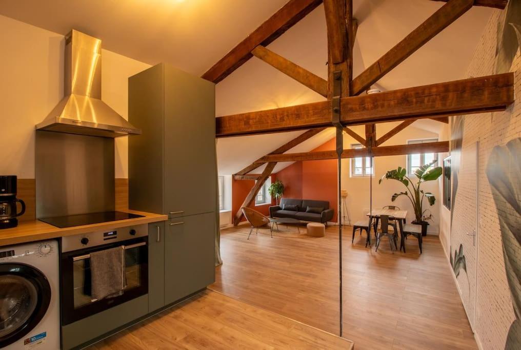 Apartmán Loft Atelier Hyper Centre Albi Exteriér fotografie